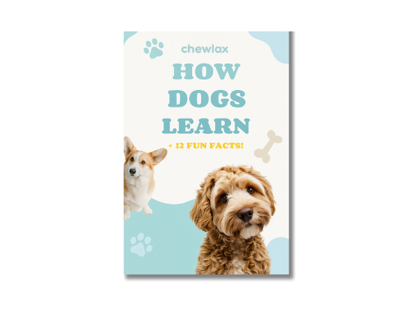 How Dog's Learn - eBook
