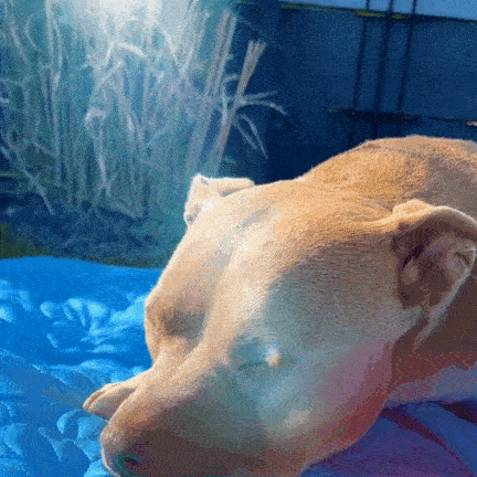 Thermal Pull Cooling Mat™