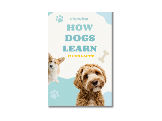 How Dog's Learn - eBook