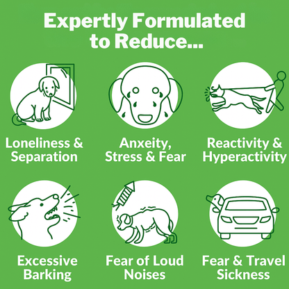 120 Calming Treats For Stress, Anxiety, & Fear