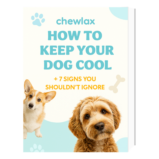 How to Keep Your Dog Cool - eBook