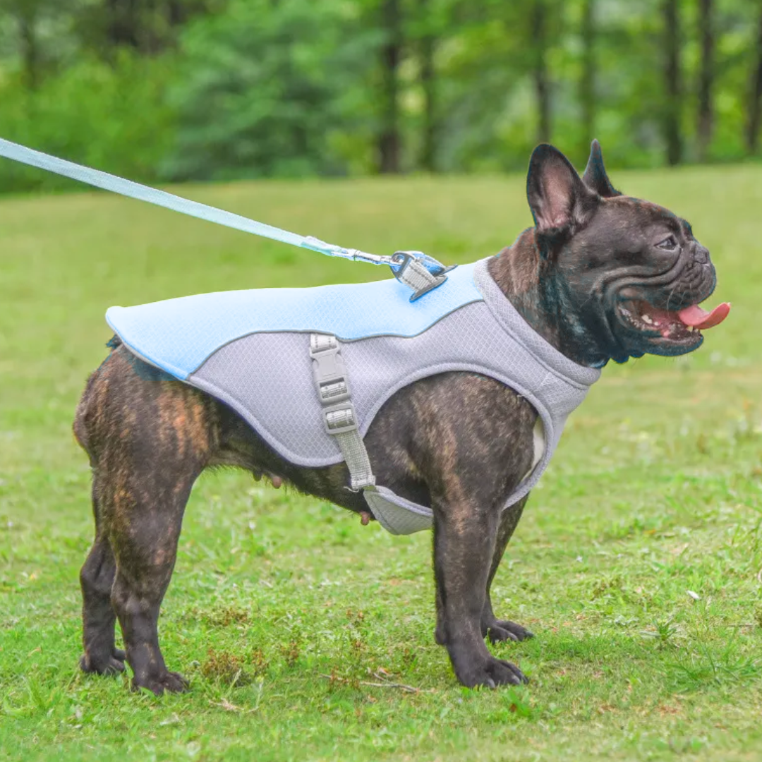 Dog Cooling Vest Heat Resistant