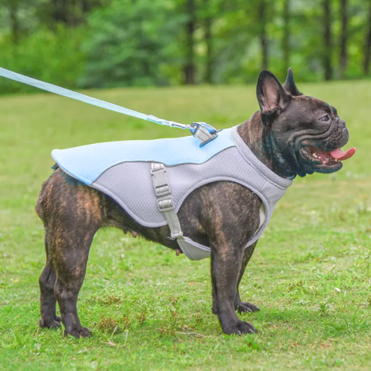Dog Cooling Vest Heat Resistant